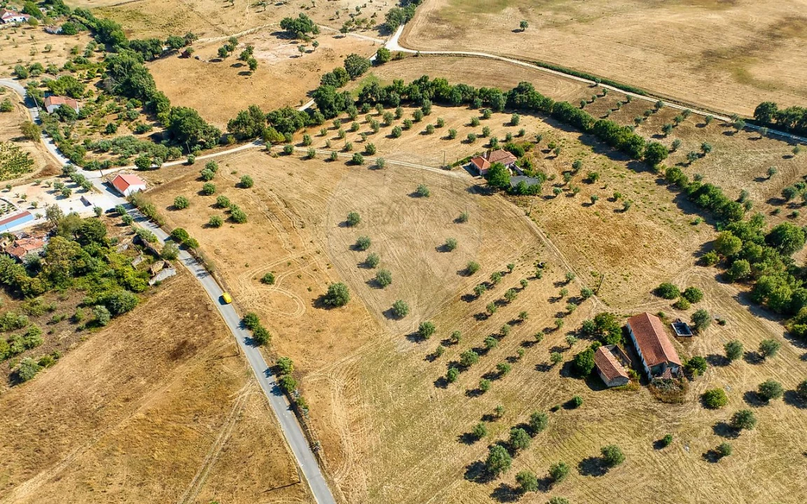 Terreno para Venda em São Vicente do Paul e Vale de Figueira Foto 23