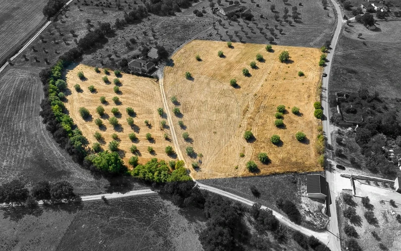 Terreno para Venda em São Vicente do Paul e Vale de Figueira Foto 5