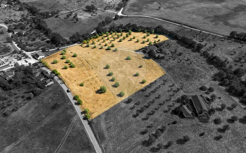 Terreno para Venda em São Vicente do Paul e Vale de Figueira Foto 17