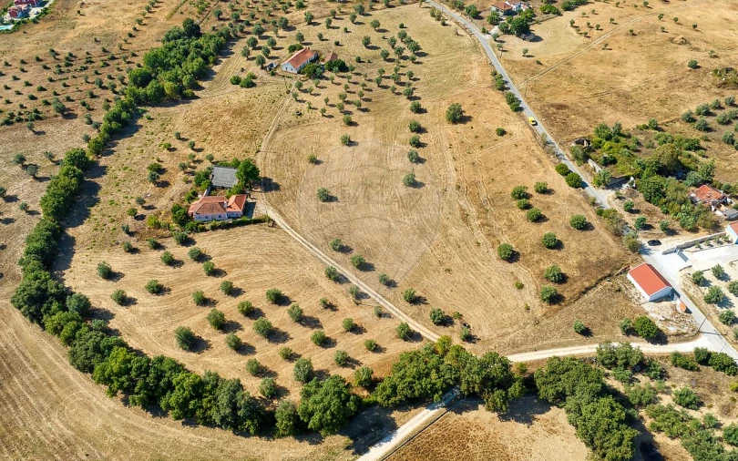 Terreno para Venda em São Vicente do Paul e Vale de Figueira Foto 7
