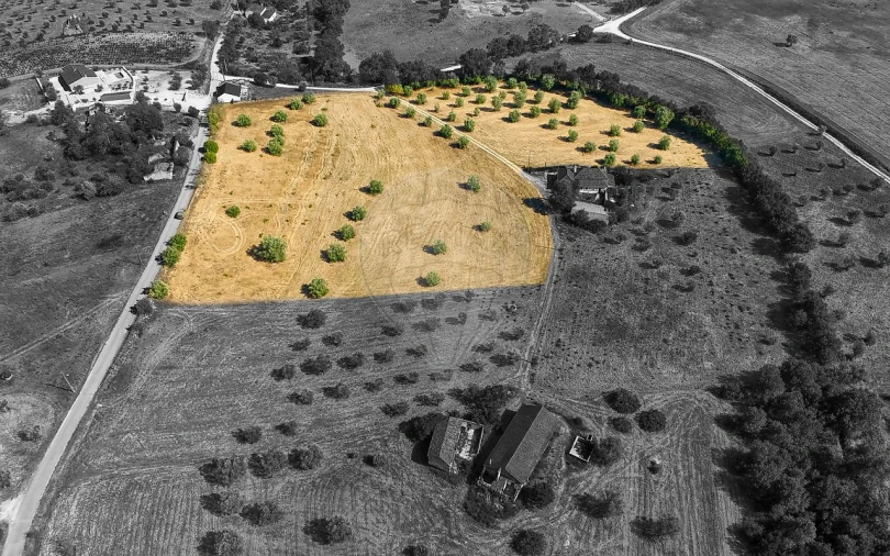 Terreno para Venda em São Vicente do Paul e Vale de Figueira Foto 18