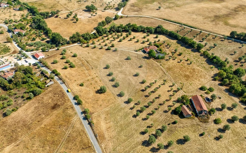Terreno para Venda em São Vicente do Paul e Vale de Figueira Foto 23