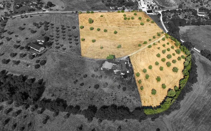 Terreno para Venda em São Vicente do Paul e Vale de Figueira Foto 12