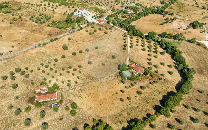 Terreno para Venda em São Vicente do Paul e Vale de Figueira Foto 21