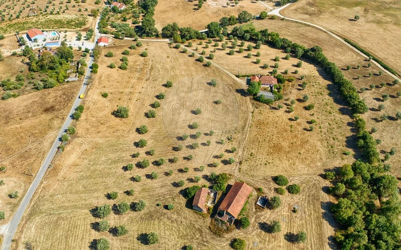 Terreno para Venda em São Vicente do Paul e Vale de Figueira Foto 19