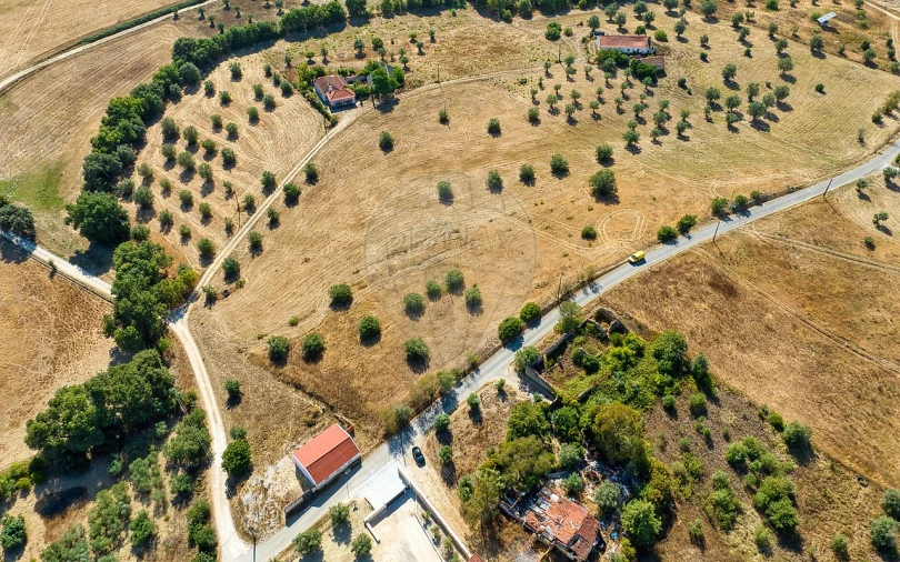 Terreno para Venda em São Vicente do Paul e Vale de Figueira Foto 3