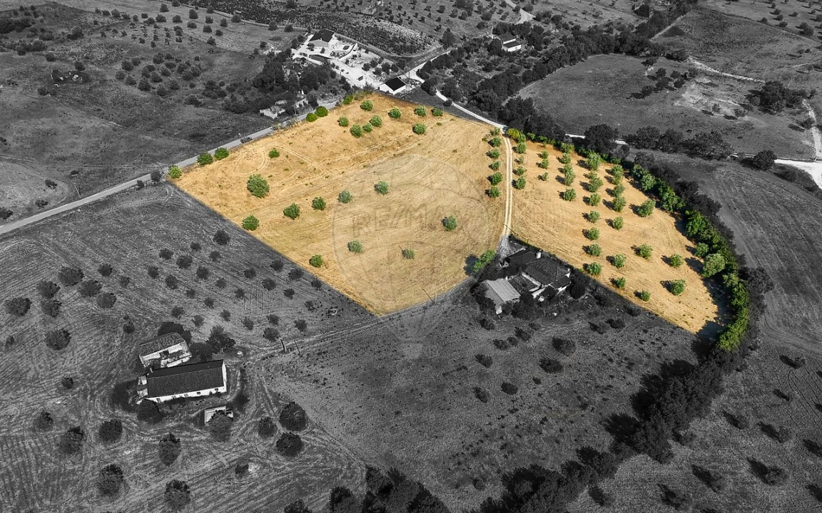 Terreno para Venda em São Vicente do Paul e Vale de Figueira Foto 15