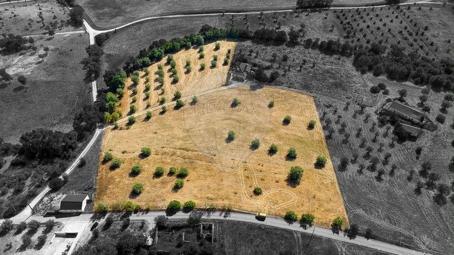 Terreno para Venda em São Vicente do Paul e Vale de Figueira