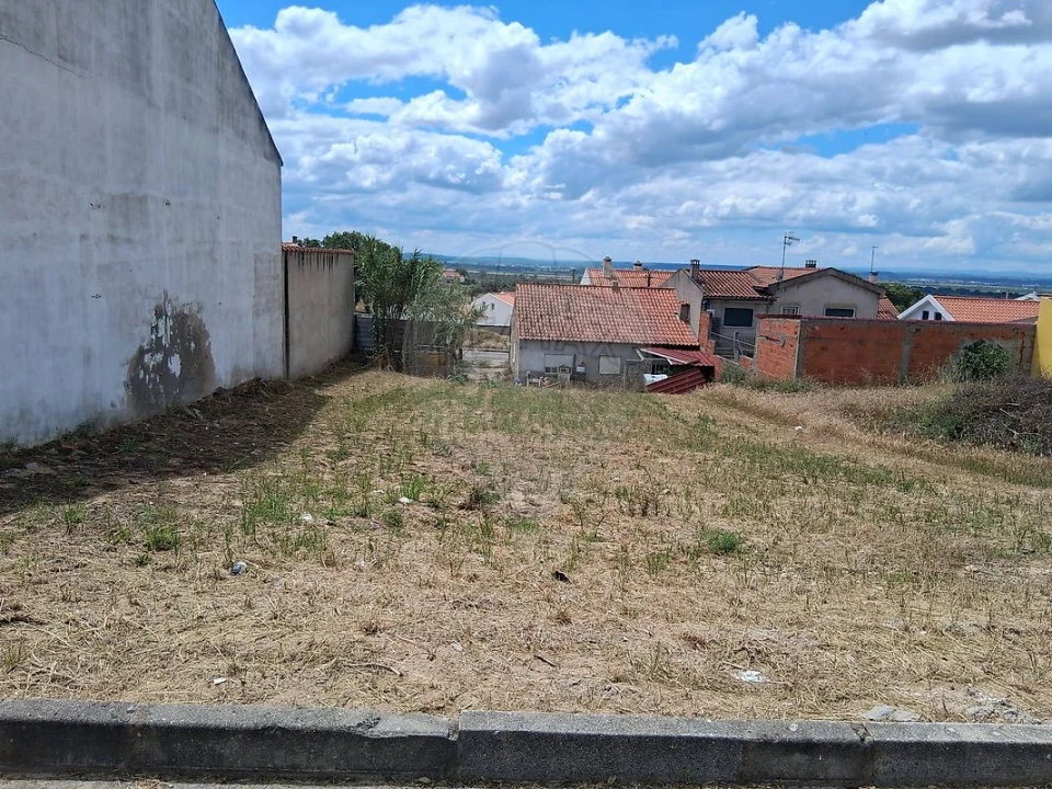 Terreno para Venda em Carregueira Foto 7