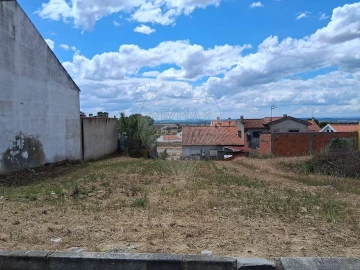 Terreno para Venda em Carregueira