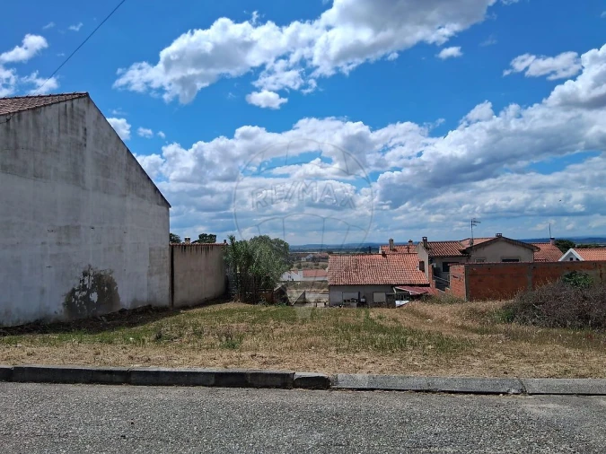 Terreno para Venda em Carregueira Foto 6