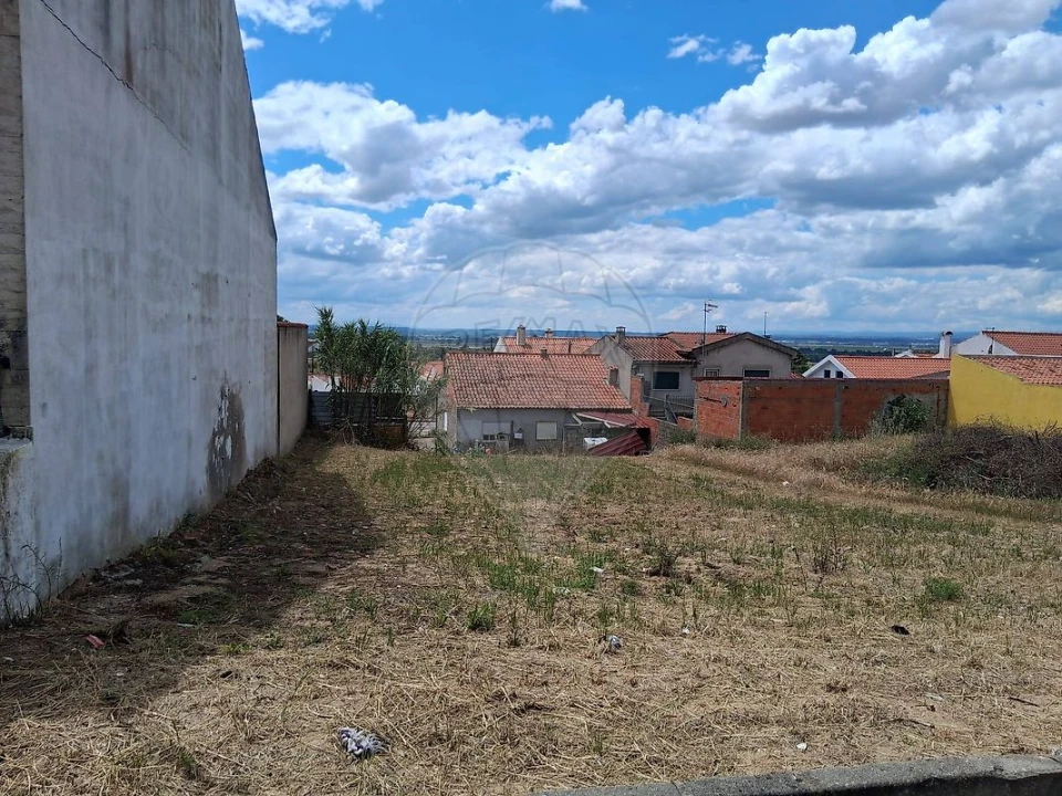 Terreno para Venda em Carregueira Foto 5