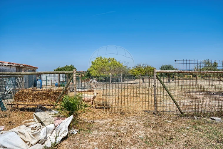 Moradia T3 para Venda em Casével e Vaqueiros Foto 20