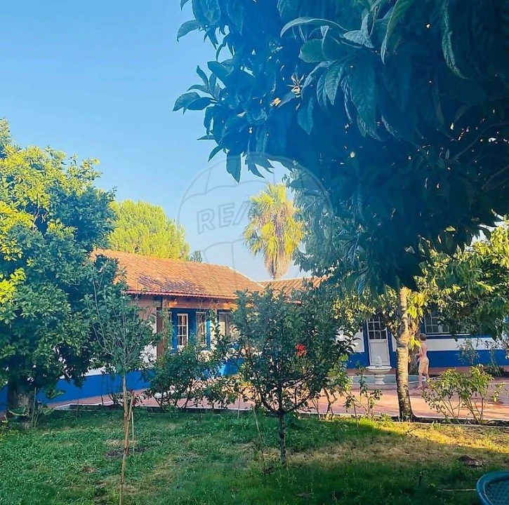 Moradia T6 para Venda em Achete, Azoia de Baixo e Póvoa de Santarém Foto 5