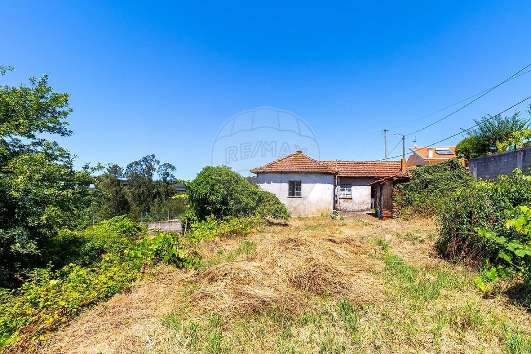 Moradia T2 para Venda em Canedo, Vale e Vila Maior Foto 13
