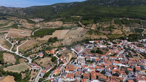 Terreno para Venda em Abrigada e Cabanas de Torres