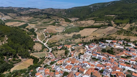 Terreno para Venda em Abrigada e Cabanas de Torres