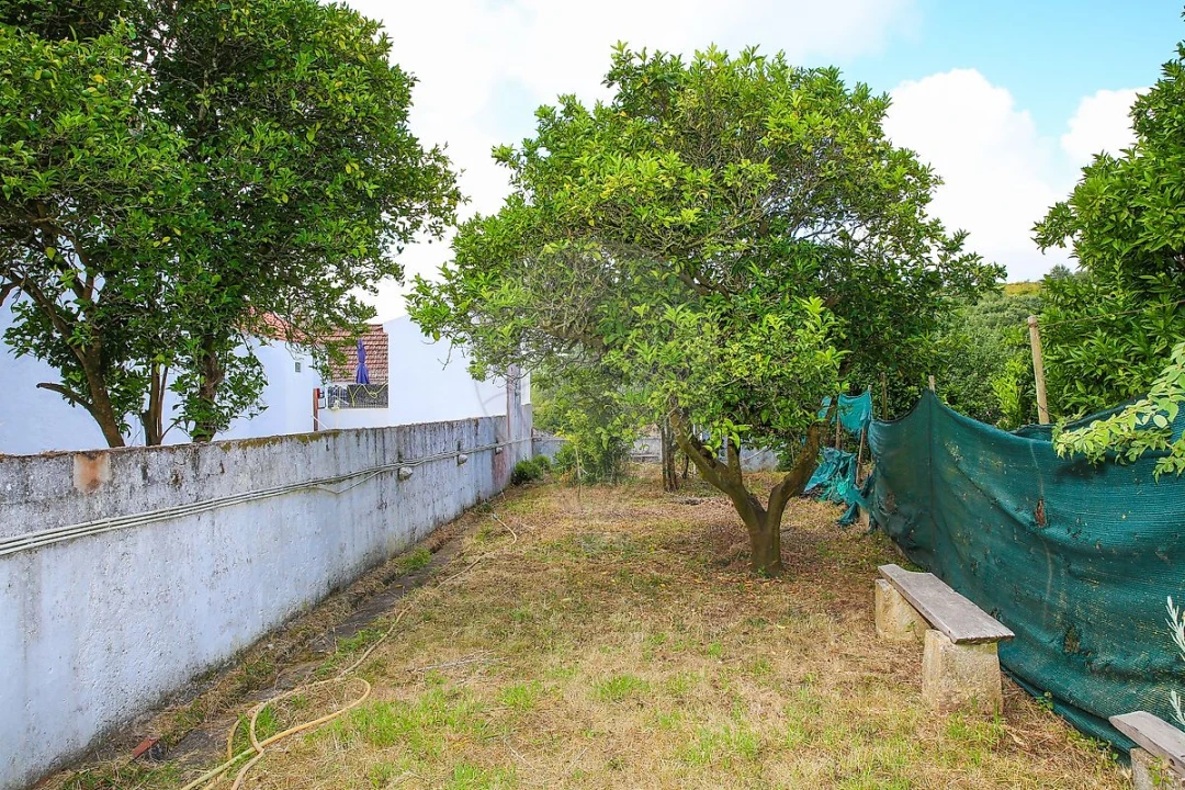 Moradia T3 para Venda em Ribafria e Pereiro de Palhacana Foto 35