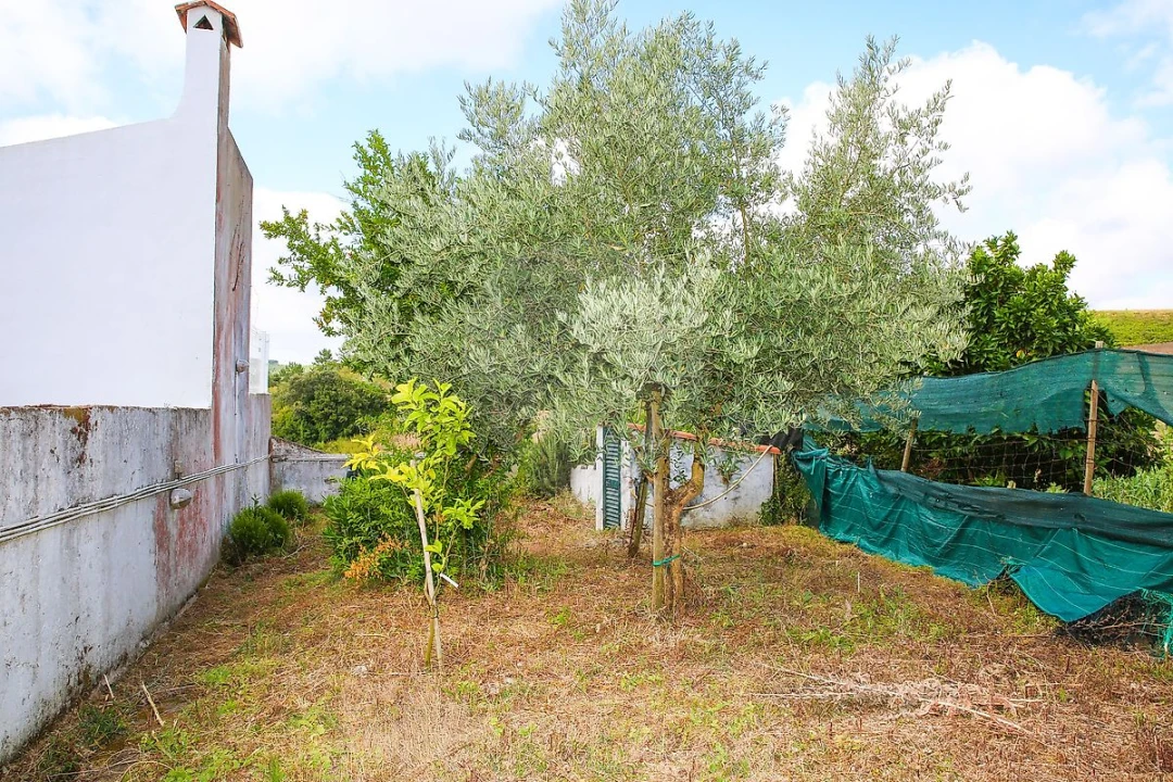 Moradia T3 para Venda em Ribafria e Pereiro de Palhacana Foto 34