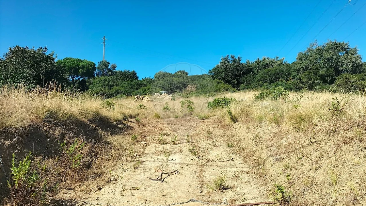Terreno para Venda em Santiago dos Velhos Foto 3