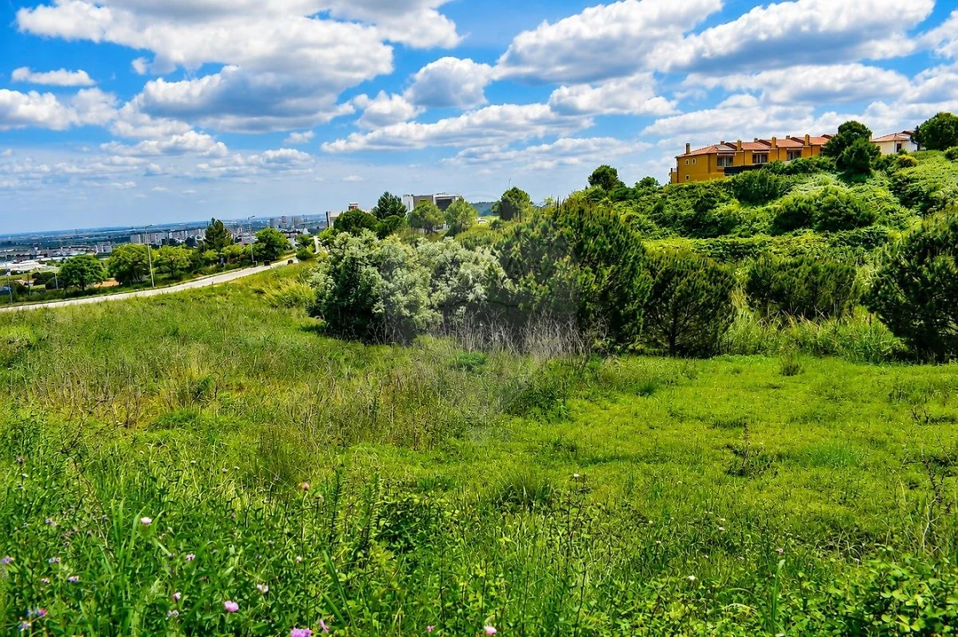 Terreno para Venda em Alenquer (Santo Estêvão e Triana) Foto 6