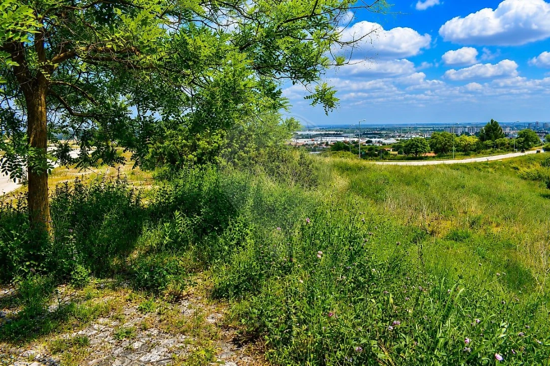 Terreno para Venda em Alenquer (Santo Estêvão e Triana) Foto 7