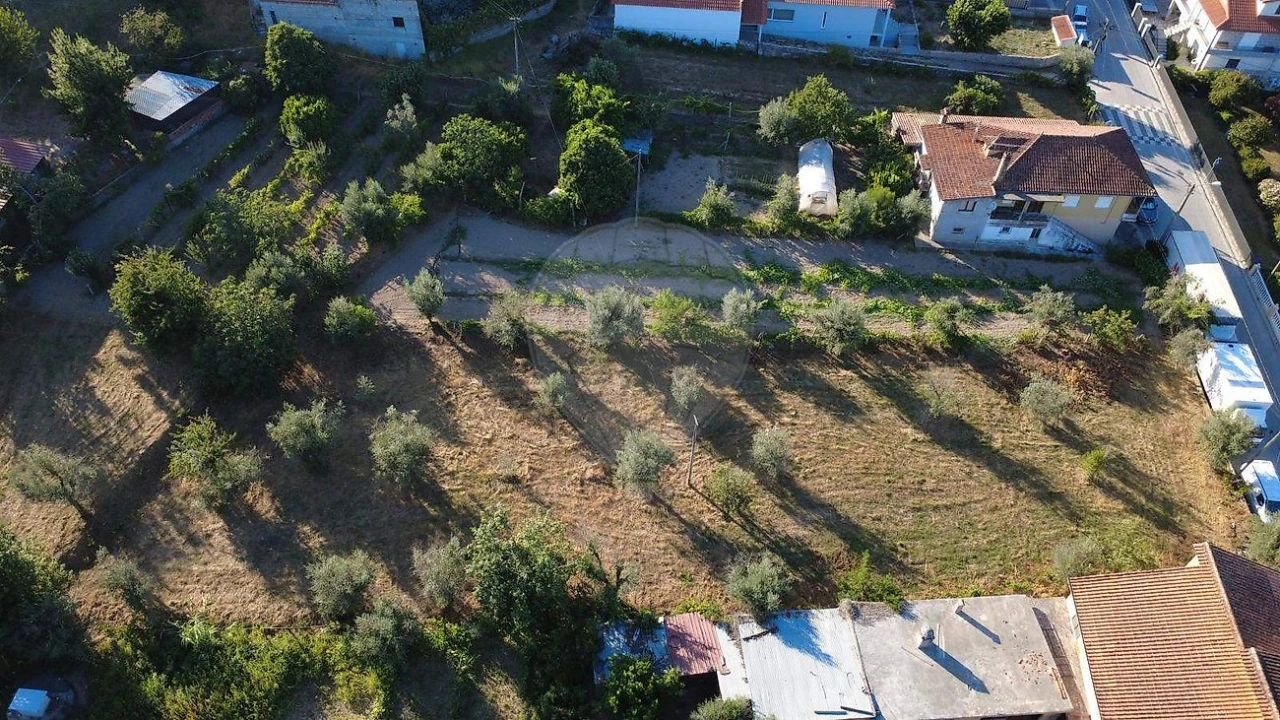 Terreno para Venda em Midões Foto 3