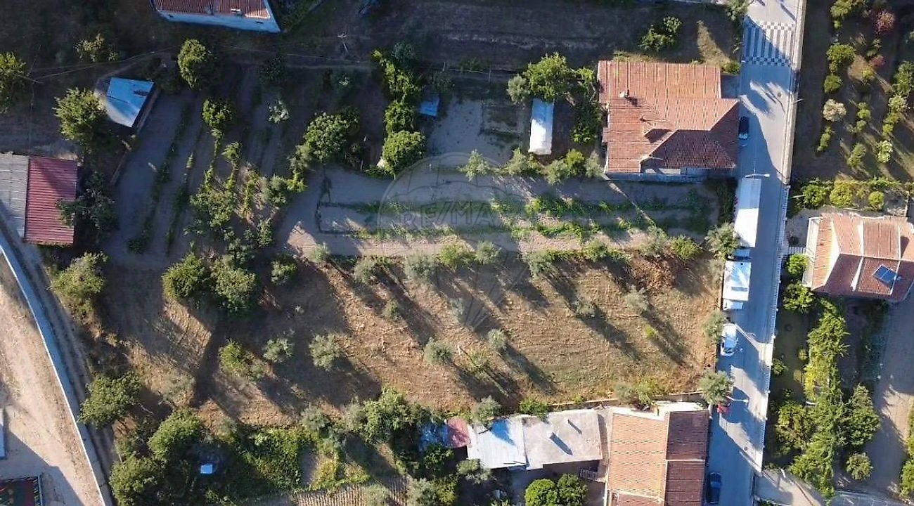 Terreno para Venda em Midões Foto 8
