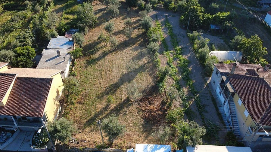 Terreno para Venda em Midões Foto 6