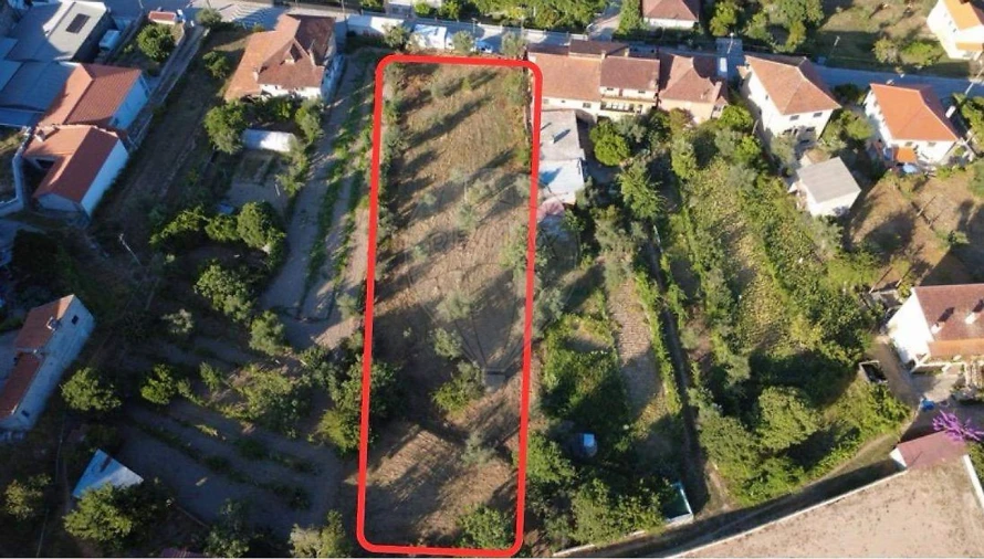 Terreno para Venda em Midões Foto 5