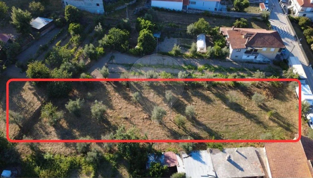 Terreno para Venda em Midões Foto 4