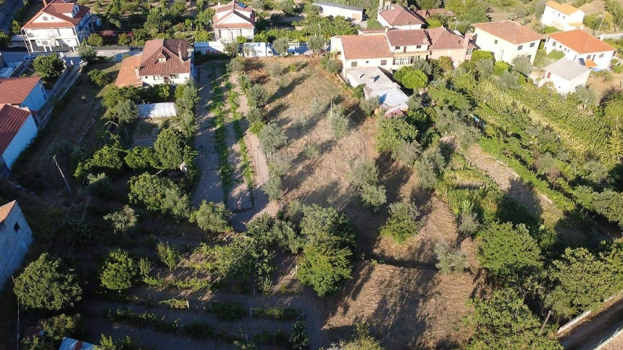 Terreno para Venda em Midões