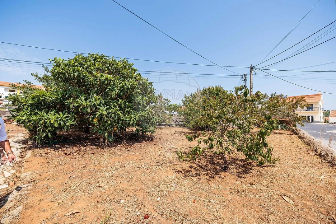 Moradia T4 para Venda em Santo Isidoro Foto 30