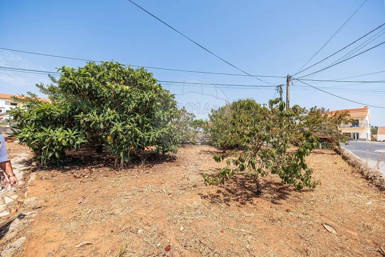 Moradia T4 para Venda em Santo Isidoro Foto 30