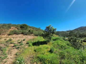 Terreno Agricola ou Rústico para Venda em Marmelete