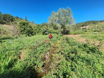 Terreno Agricola ou Rústico para Venda em Marmelete
