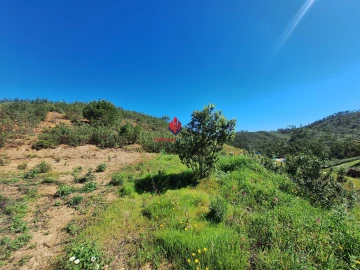 Terreno Agricola ou Rústico para Venda em Marmelete