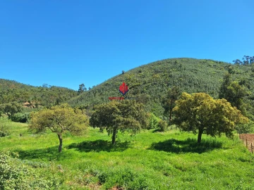 Terreno Agricola ou Rústico para Venda em Marmelete