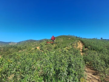 Terreno Agricola ou Rústico para Venda em Marmelete