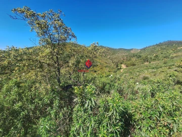 Terreno Agricola ou Rústico para Venda em Marmelete