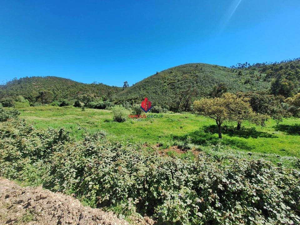 Terreno Agricola ou Rústico para Venda em Marmelete Foto 31