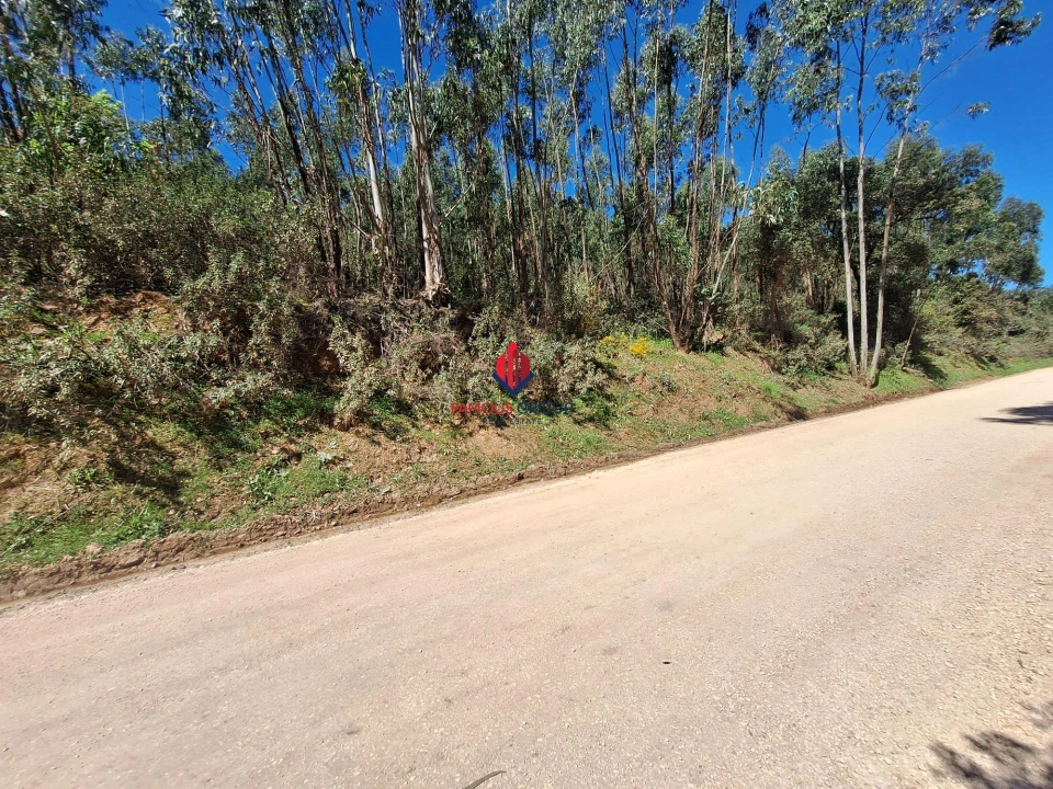 Terreno Agricola ou Rústico para Venda em Marmelete Foto 37