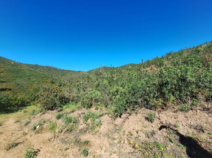 Terreno Agricola ou Rústico para Venda em Marmelete Foto 25