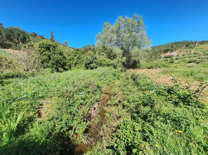 Terreno Agricola ou Rústico para Venda em Marmelete Foto 9