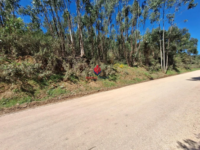 Terreno Agricola ou Rústico para Venda em Marmelete Foto 37