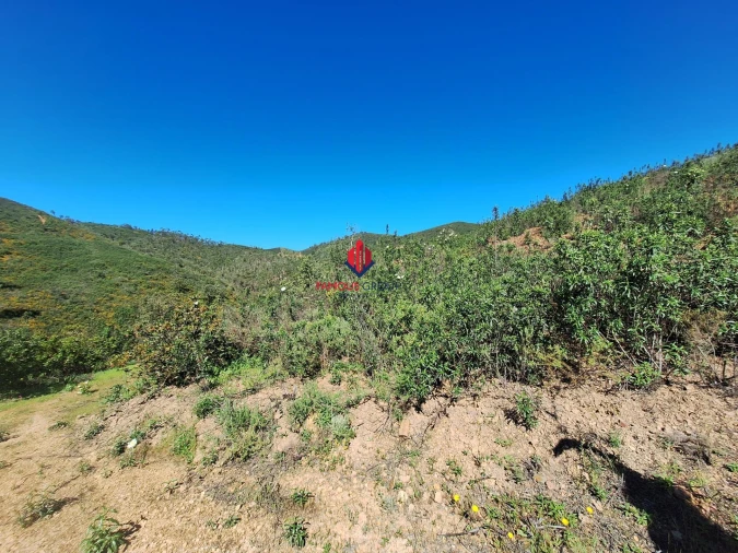 Terreno Agricola ou Rústico para Venda em Marmelete Foto 8