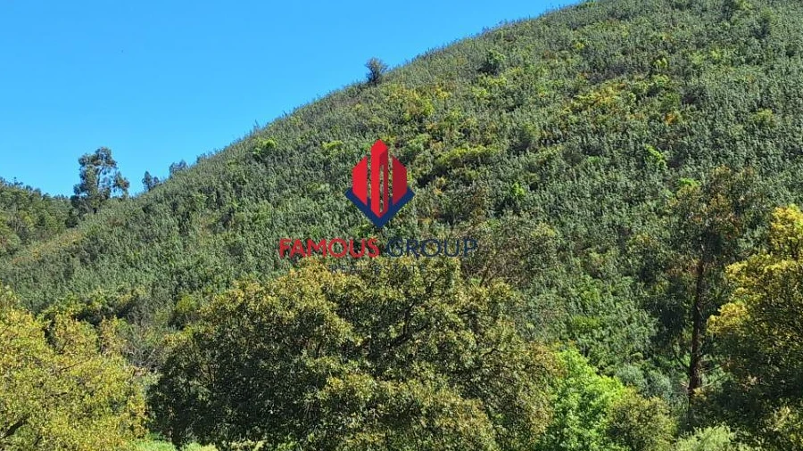 Terreno Agricola ou Rústico para Venda em Marmelete