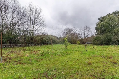 Moradia T4 para Venda em Calvos e Frades