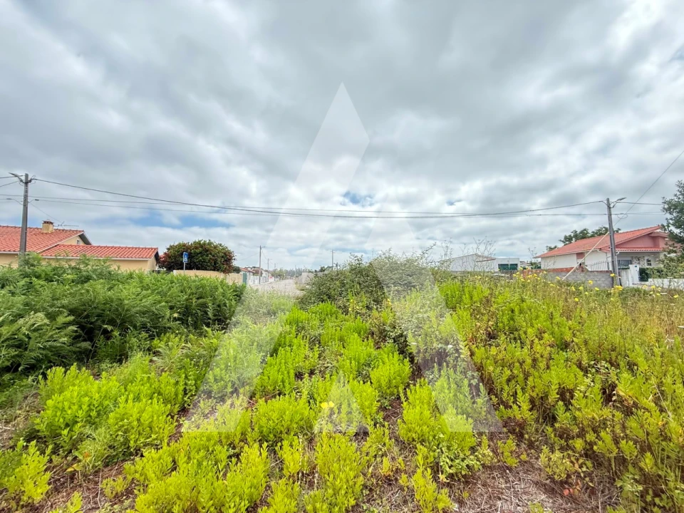 Terreno para Venda em Marinha Grande Foto 3