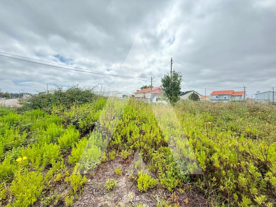 Terreno para Venda em Marinha Grande Foto 4